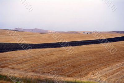 Verso Altamura 3