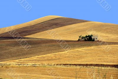Verso Altamura 4