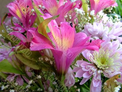 The different types of one bouquet 24