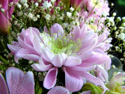 The different types of one bouquet 23