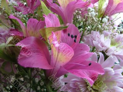 The different types of one bouquet 20