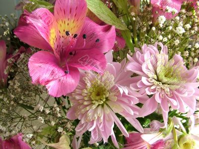 The different types of one bouquet 13