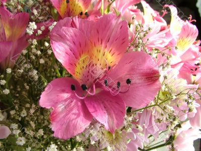 The different types of one bouquet 12