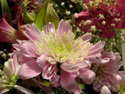 The different types of one bouquet