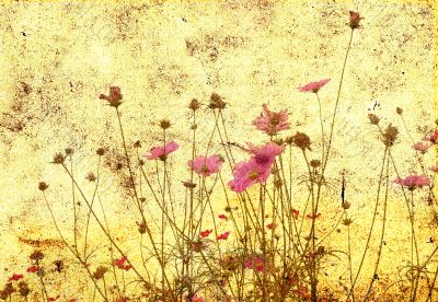 old-fashioned landscape