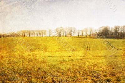 old-fashioned landscape