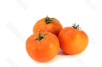 Fresh tomatoes