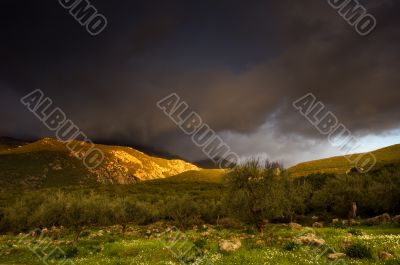 Landscape