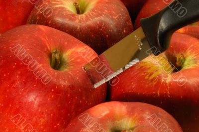Stainless steel knife