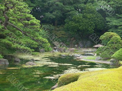 Tokyo garden