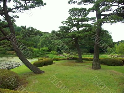 Tokyo garden