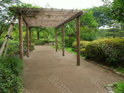 Tokyo garden