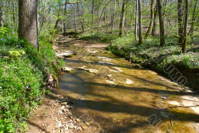 stream