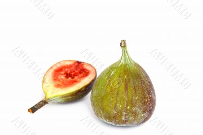 figs isolated