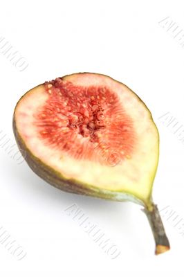 fig half