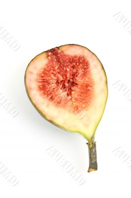 fig half on white