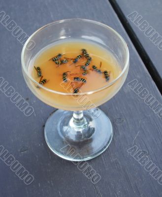 Bees In Your Drink