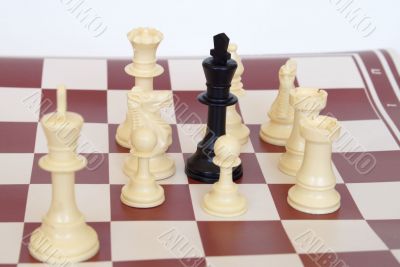 black king surrended