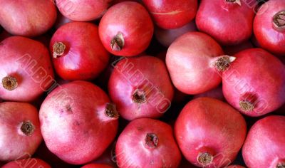 pomegranate