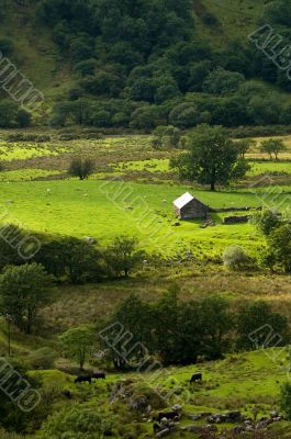 Llyn Dinas