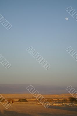 evening in a desert