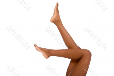 Female`s Legs