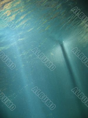 a rays of sunlight visible through the water