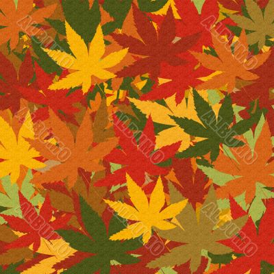 Autumn Leaves