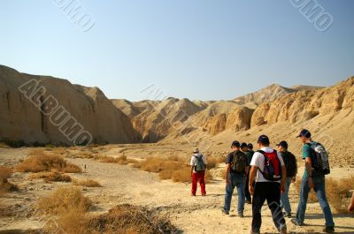 walkers in a desert