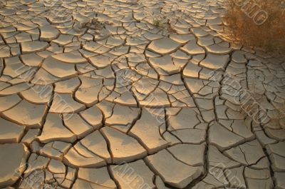 Dry soil - ecology disaster