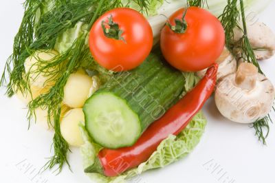 Set of different vegetables