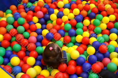 child girl inside a balls pool