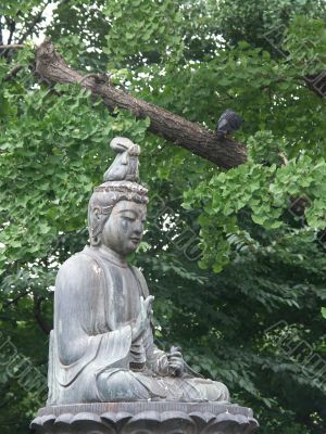 buddha statue