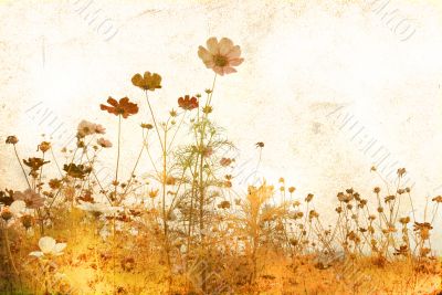 old-fashioned landscape