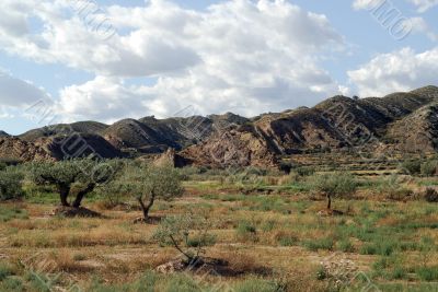 Monzon-Balaguer - Landscape