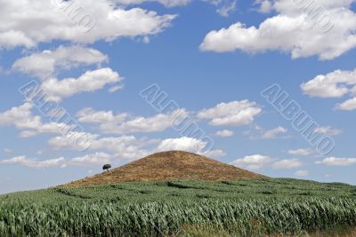 Monzon-Balaguer