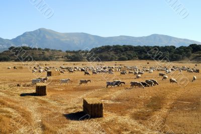 Near Huesca - Aragon 2