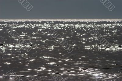 quicksilver ocean
