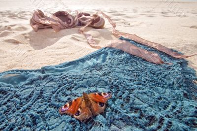 cheeky butterfly