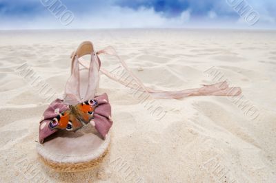 woman shoe and butterfly