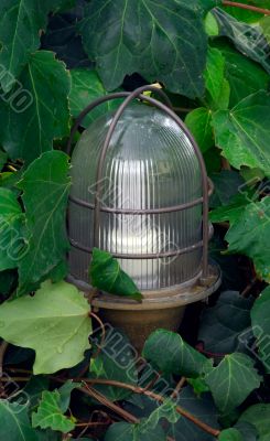 Garden lantern