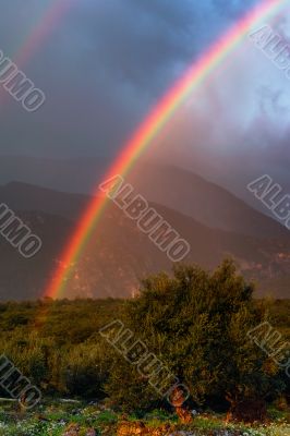 Rainbow