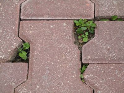 the texture of the street stone