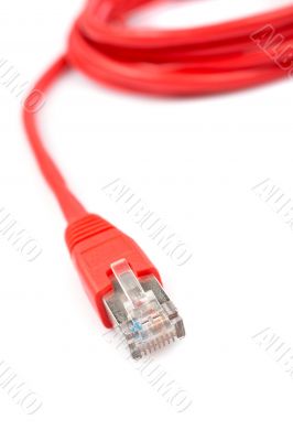 Red network cable