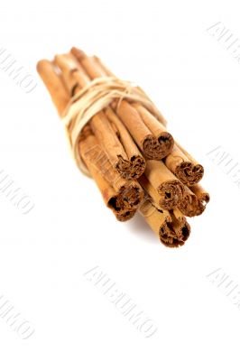 Sticks of cinnamon