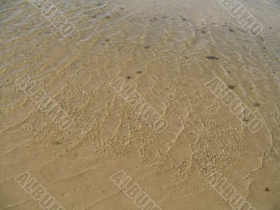 lace pattern of water