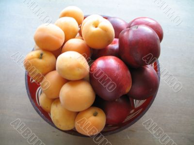 appetizing nectarines and apricots