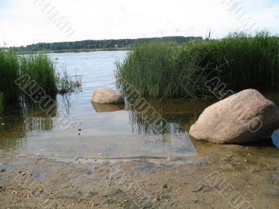 scenic view of the lake