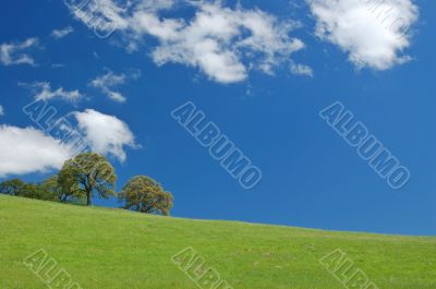 spring countryside