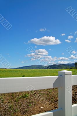 verdant spring landscape